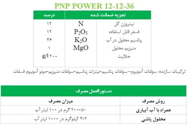 PNP Power 12-12-36 (NPK) | کود کامل ان پی کا پتاس بالا | افزایش گلدهی و کیفیت میوه (قسطی)