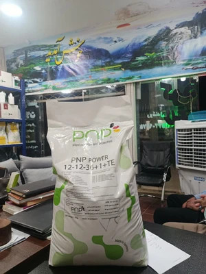 PNP Power 12-12-36 (NPK) | کود کامل ان پی کا پتاس بالا | افزایش گلدهی و کیفیت میوه (قسطی)