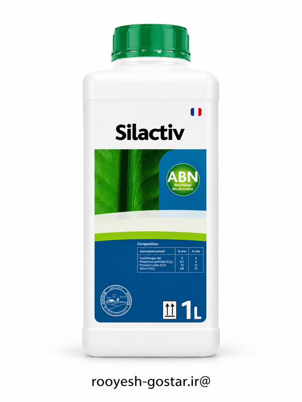سیلیکات پتاسیم (Silactiv) فرانسه (قسطی)